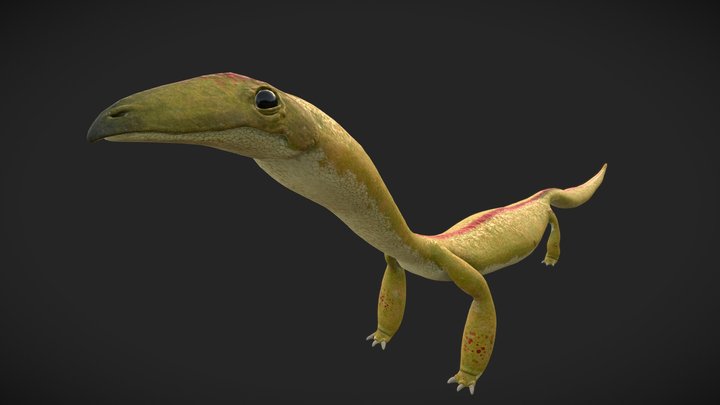 Lizardon 3D Model