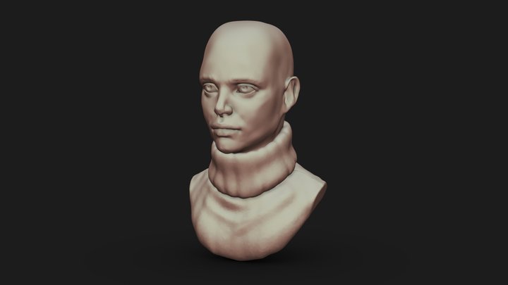 2 Hour Head Sketch 3D Model