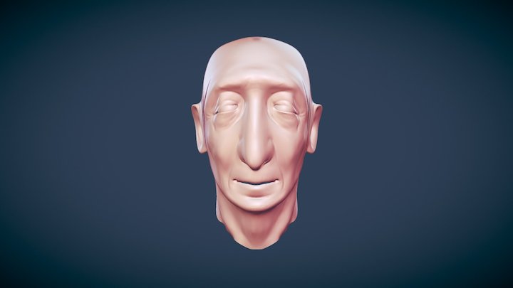 head sketch 3D Model