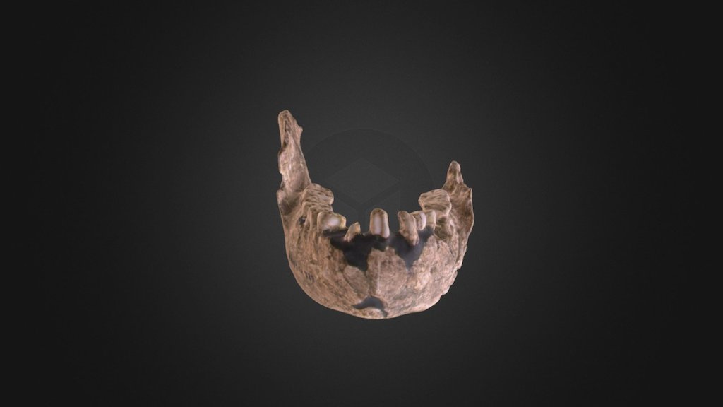 ER 729