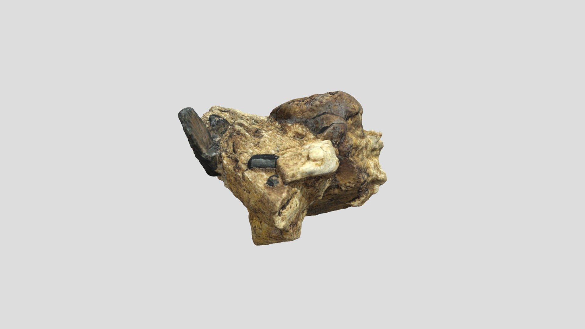 Feldspar and tourmaline sample photogrammetry