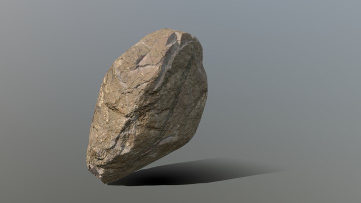 Round Medium 01 3D Model
