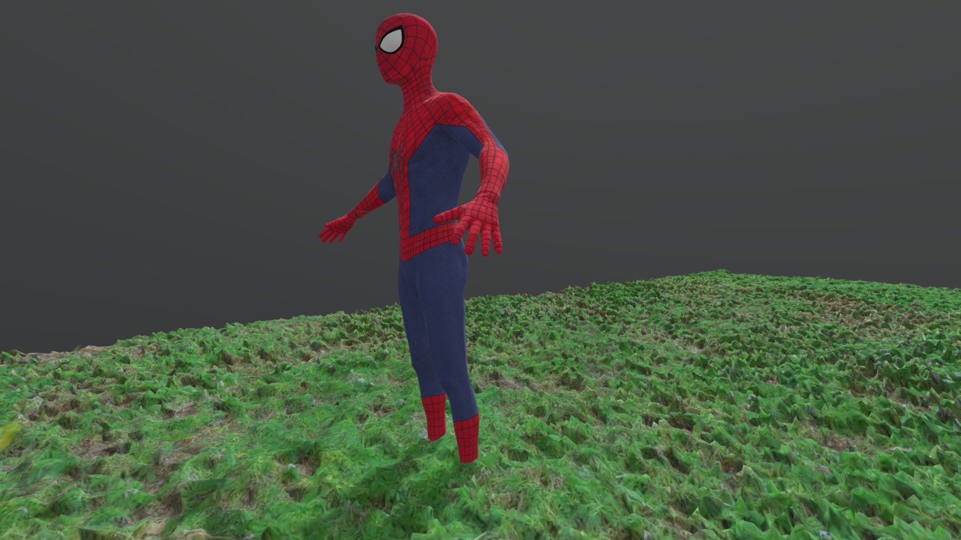 spiderman andrew g