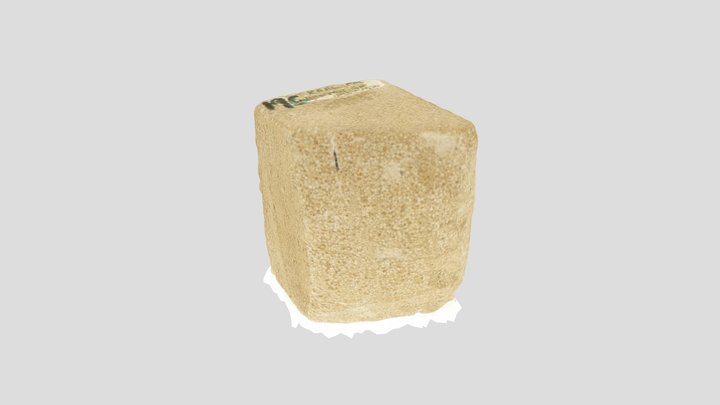 19c 3D Model