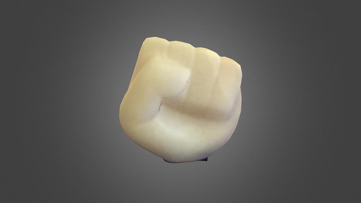 Amandla 3D Model