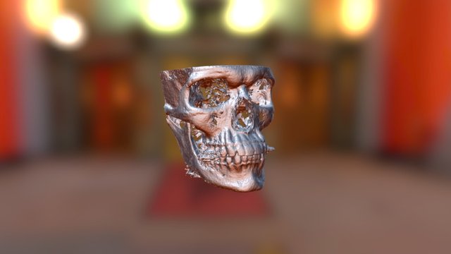 head 3D Model