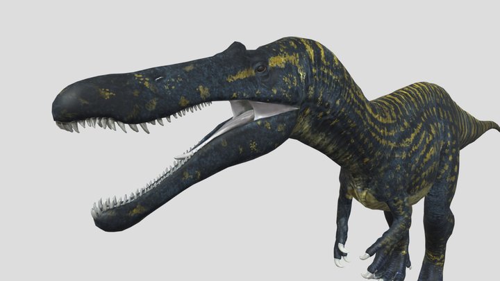 Suchomimus 3D Model