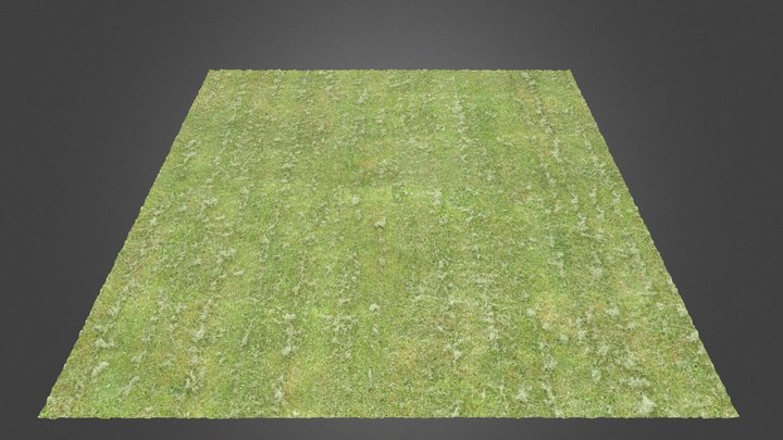 Grass Ground III 3D Model