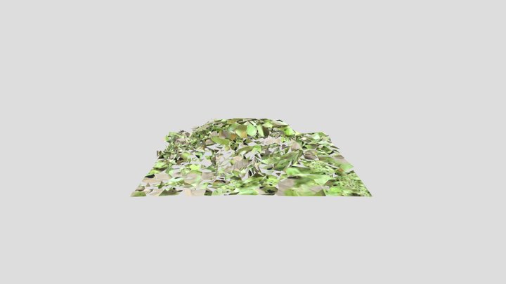 Panca 3D Model