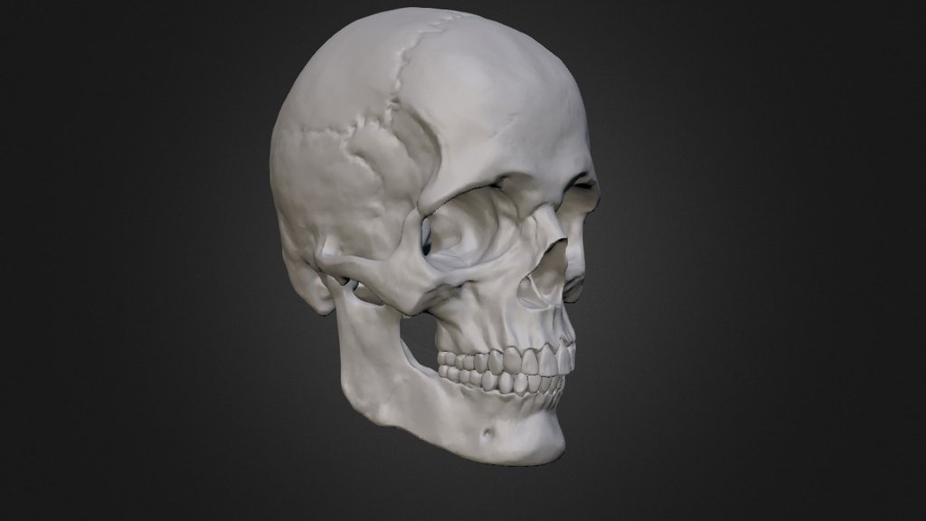 Skull Class