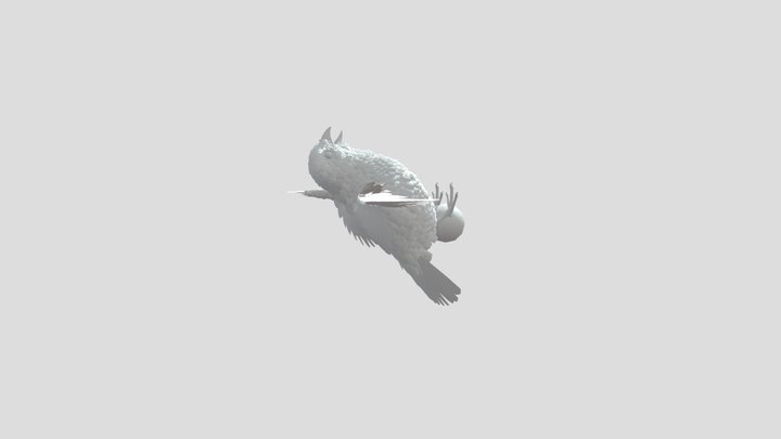 Bird 3D Model