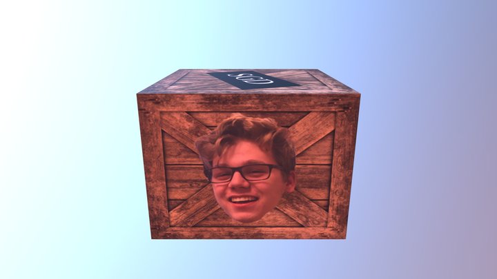 Crate 2 (SGD Crate) 3D Model