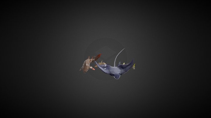 Realistic Caribbean Fishes | VR Ready 3D Model