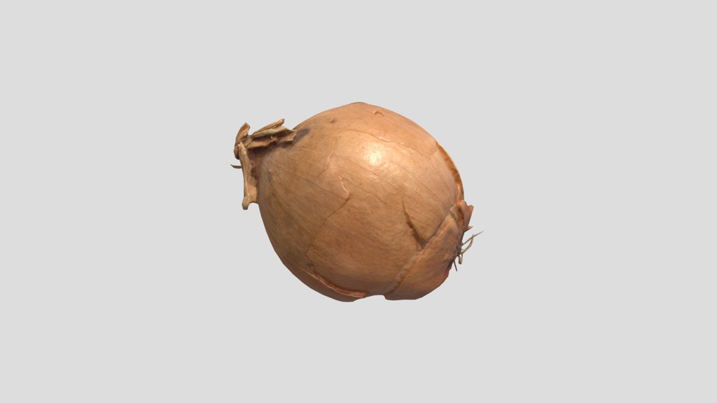 Onion