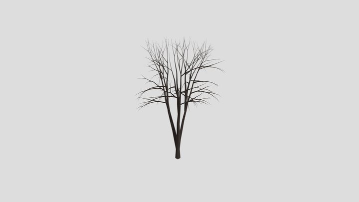 Dead Leafless Tree 3D Model