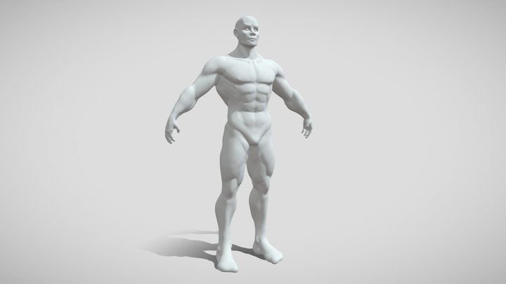Male Base Mesh 3D Model