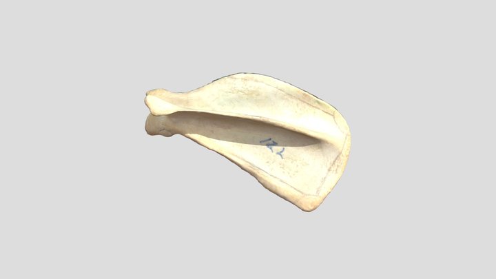 05 3D Model