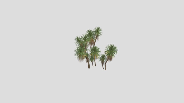 Xishuangbanna_ Dracaena_cochinchinensis_01 3D Model