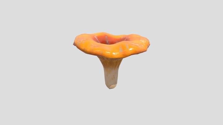 Chanterelle Mushroom 3D Model