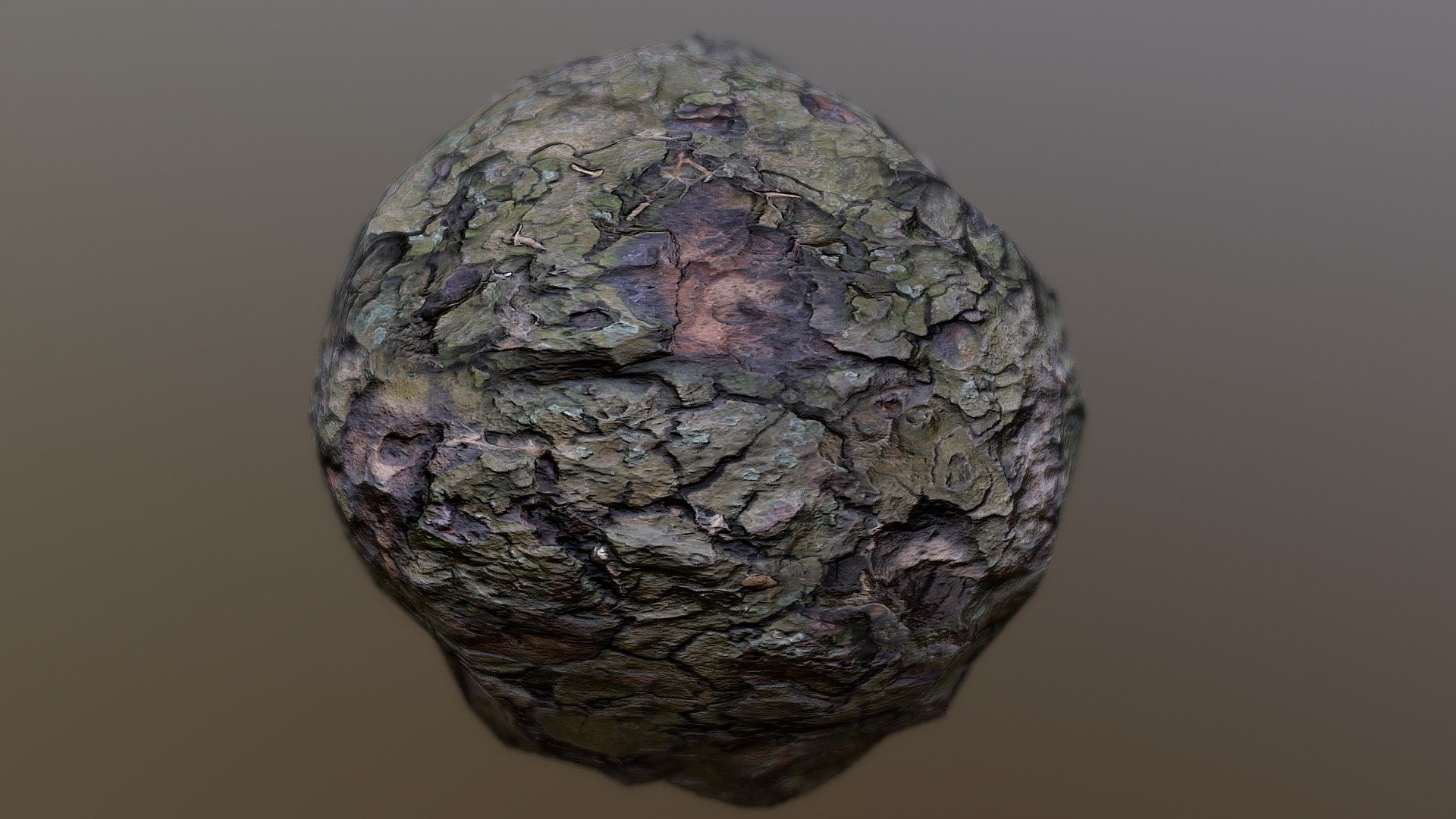 Bark Scan