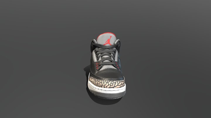 Shoe model 3D Model
