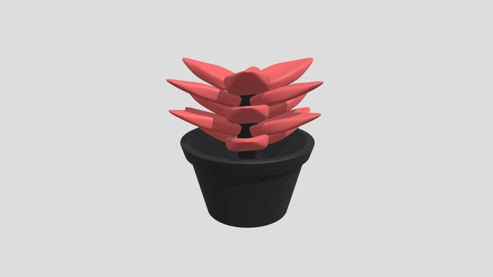 Succulent 3D Model