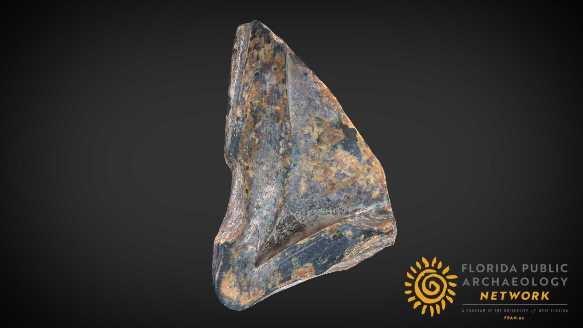 Case Bottle Fragment