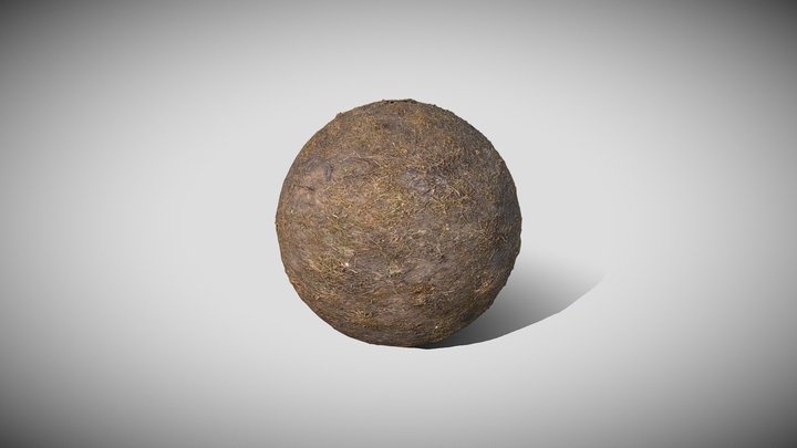 Grass01 3D Model