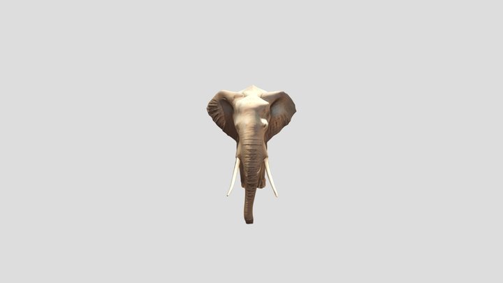 Elephant 3d Model