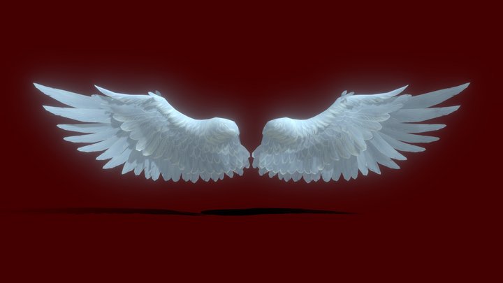 Angel wings 3D Model