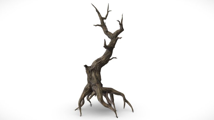 Fantasy Dark Forest - Scary Dead Tree B 3D Model