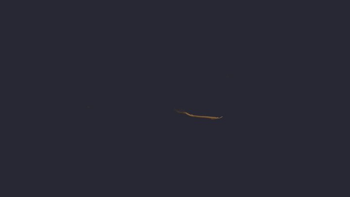 Log 9 3D Model