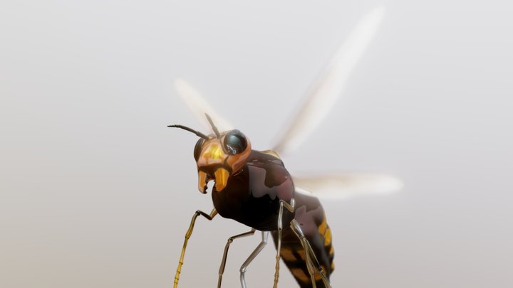 Asian Giant Hornet – Modelo 3D gratuito STL
