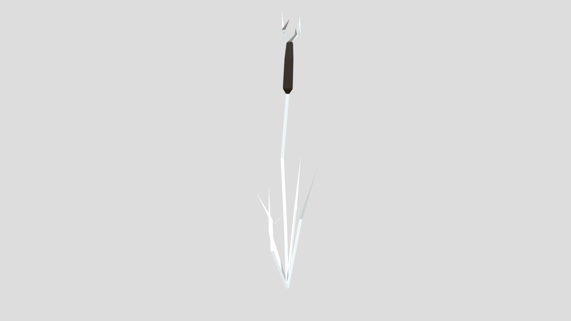 Reed Low Poly (Triangulated)