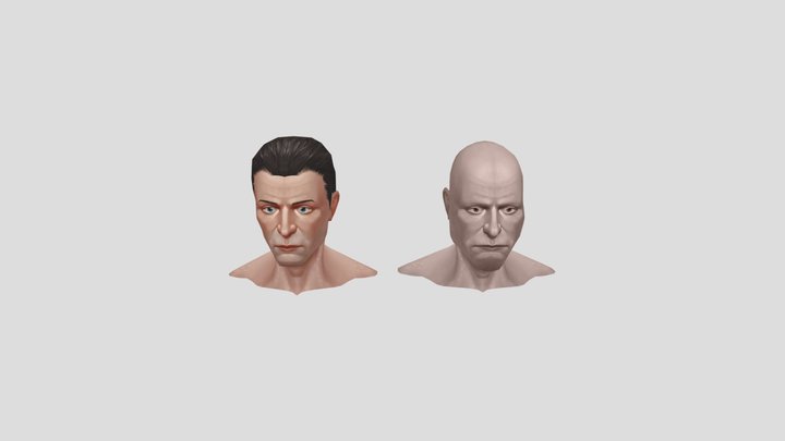 FaceTest 3D Model