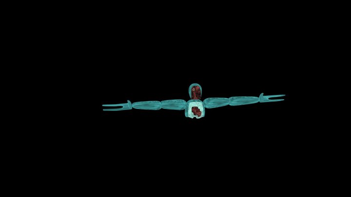 scary monker fix 3D Model
