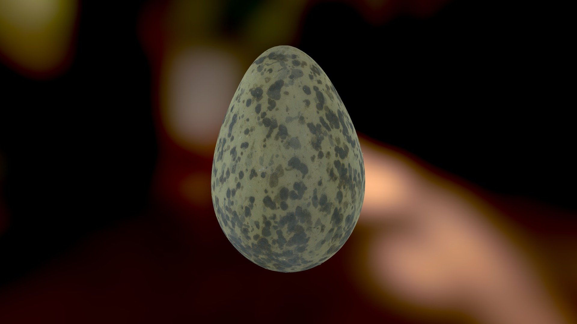 Masked Lapwing egg
