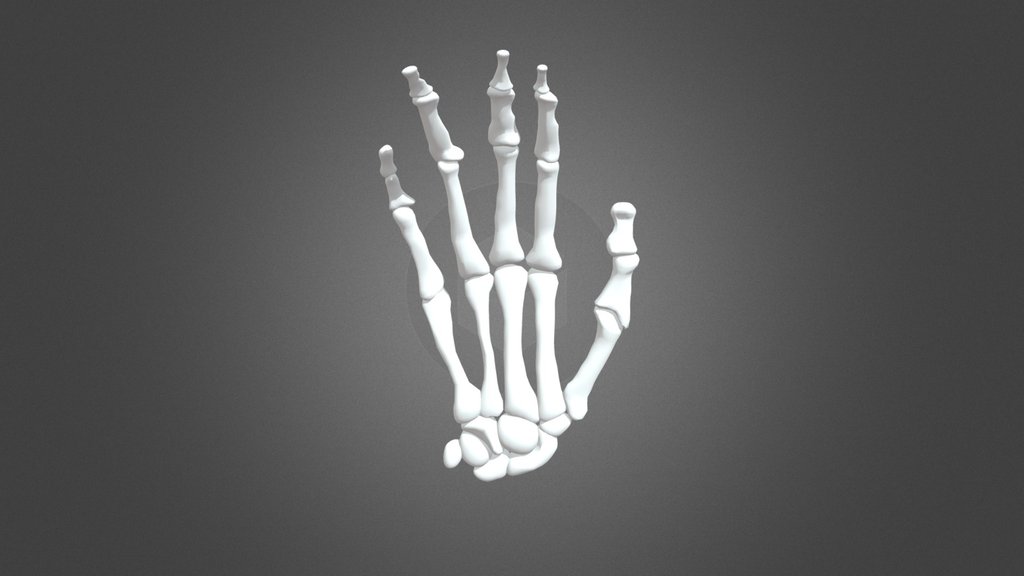 Bone Hand