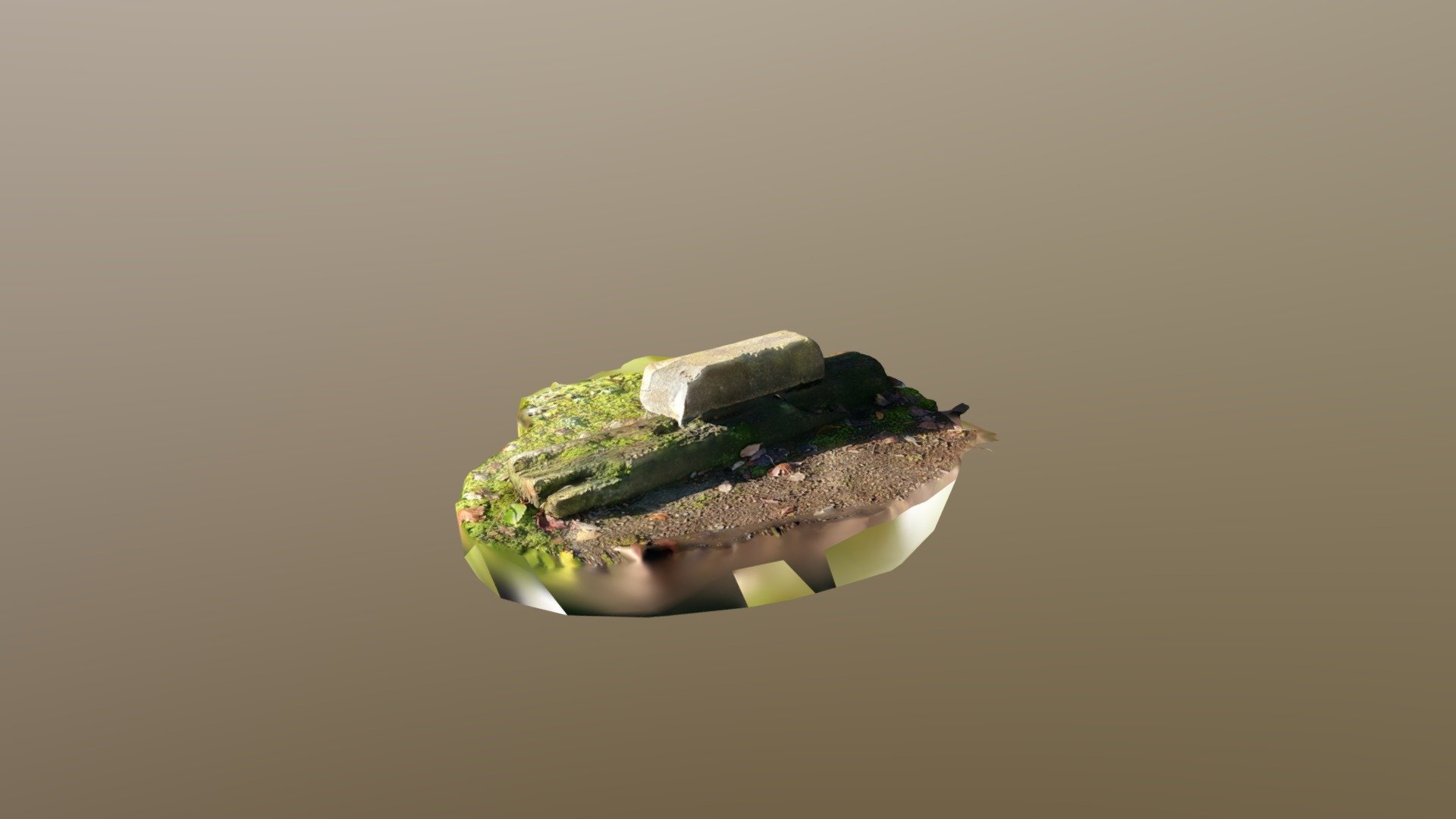 piece of wood and stone scan