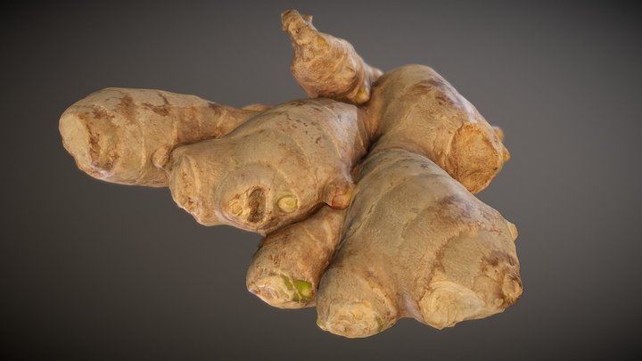 [3D-Scan] Ginger Root 3D Model