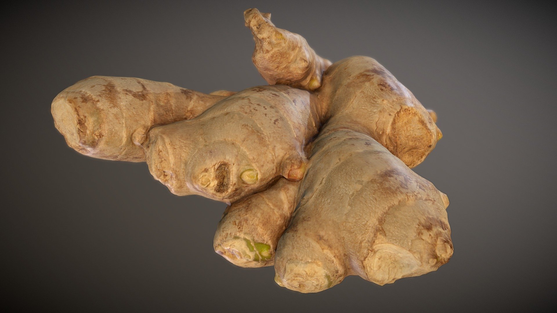 3d Scan Ginger Root Download Free 3d Model By Insomnia333 A592399 Sketchfab