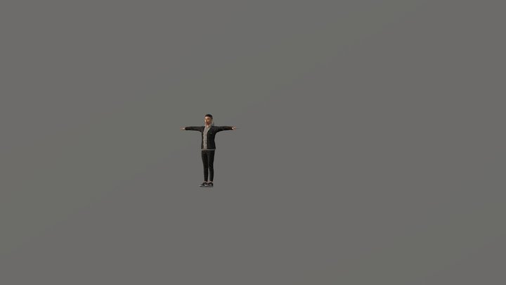 Prince 2.0 upgrade 3D Model