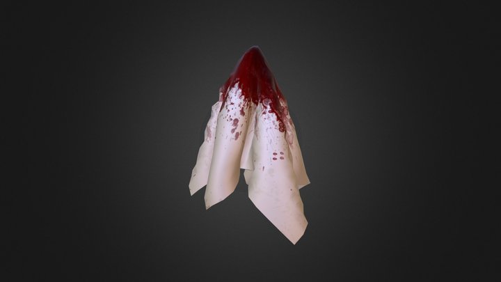 Bloody Rag 3D Model