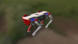 Robot Dog