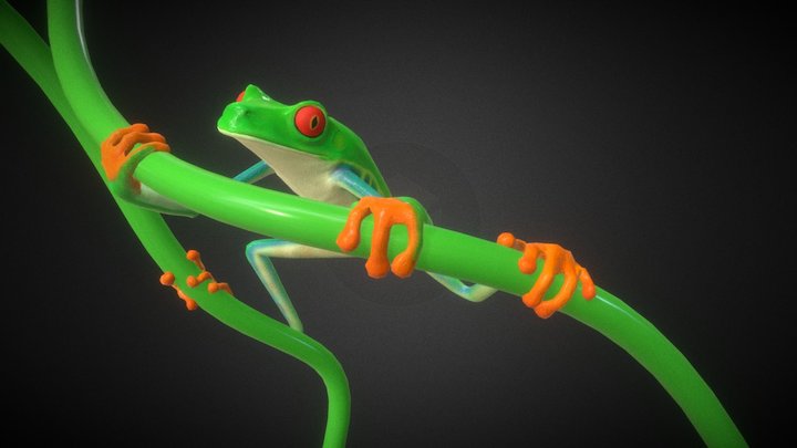 Tree frog 3D Model