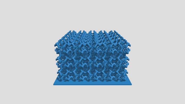 eFlesh (Cuboidal) 3D Model