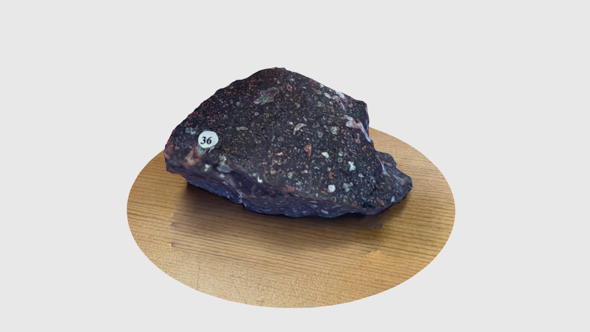 Ward’s Collection # 36 - Download Free 3D model by University of ...