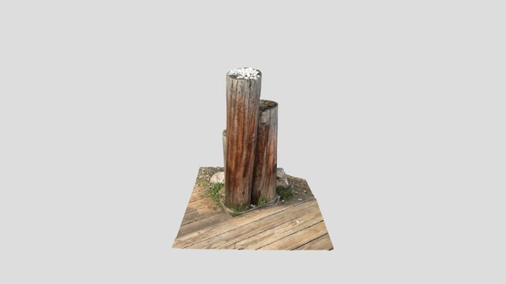 Lake Side Posts 3D Model