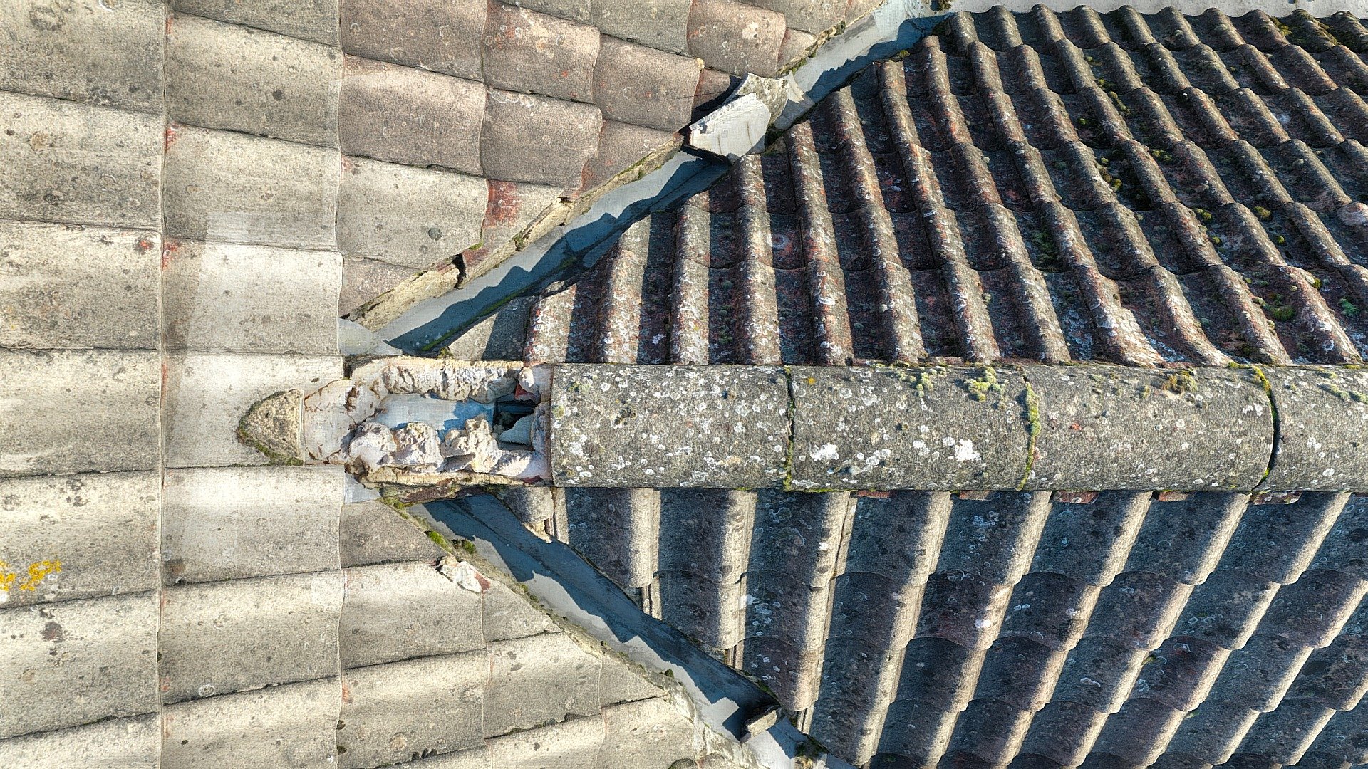ROOF HIGHRIDGE - Download Free 3D model by Blayne Jackson ...