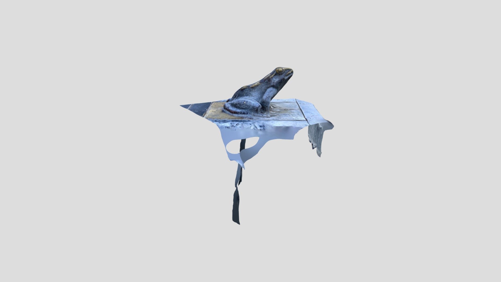 POLYCAM FROG RAW